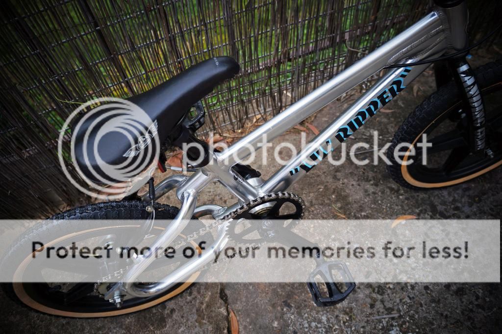 se lil ripper for sale