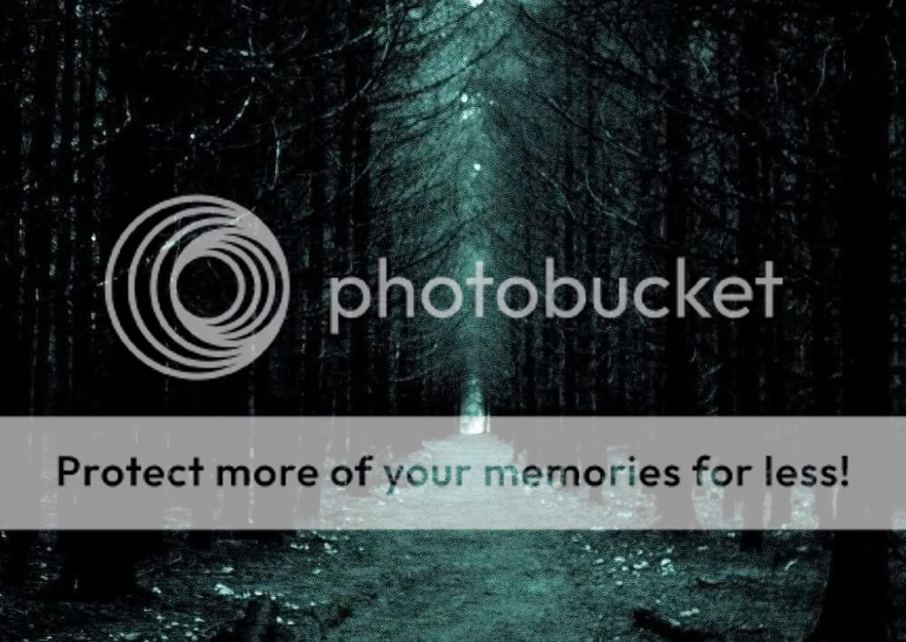 dark forets Pictures, Images and Photos