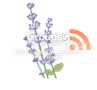  photo rss_zpsece09b9d.png