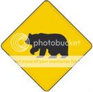 Will Big Bear Be FTF, Nope it was Team Pair-O-Dice