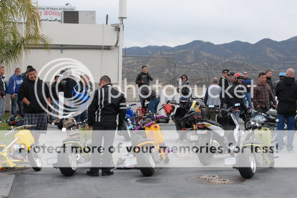 Versatility: The Honda Ruckus Scooter Versatility: The Honda Ruckus Scooter