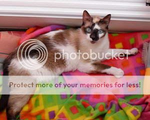 suki01.jpg
