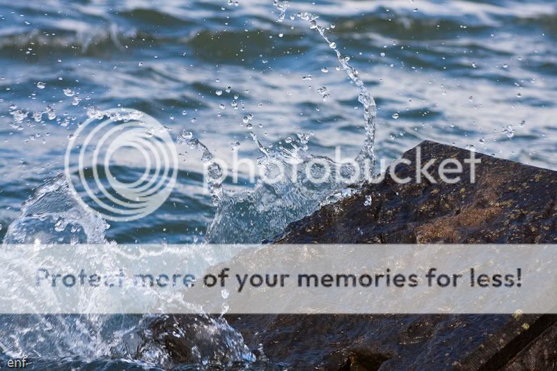 Fotografie