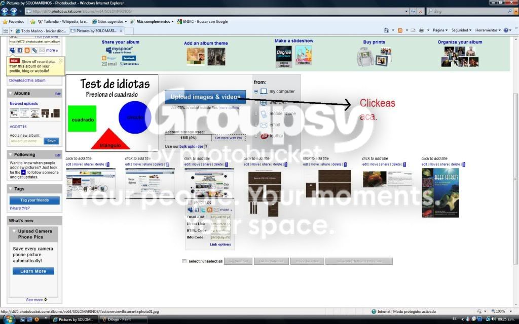 [TodoMarino.com] Como colgar fotos y ...